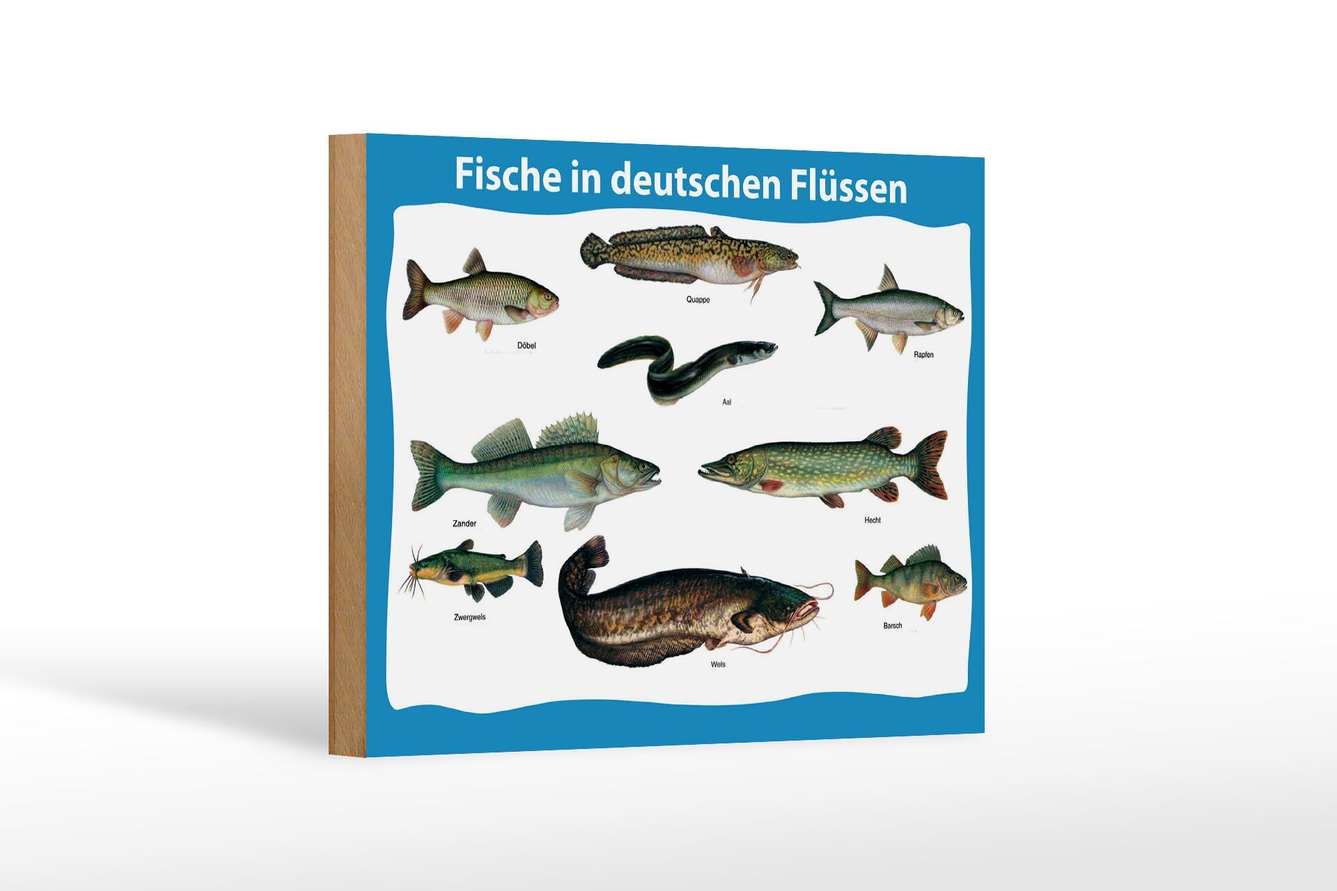 Holzschild Tiere 12x18 cm Fische in deutschen Flüssen verschiedene Fischarten