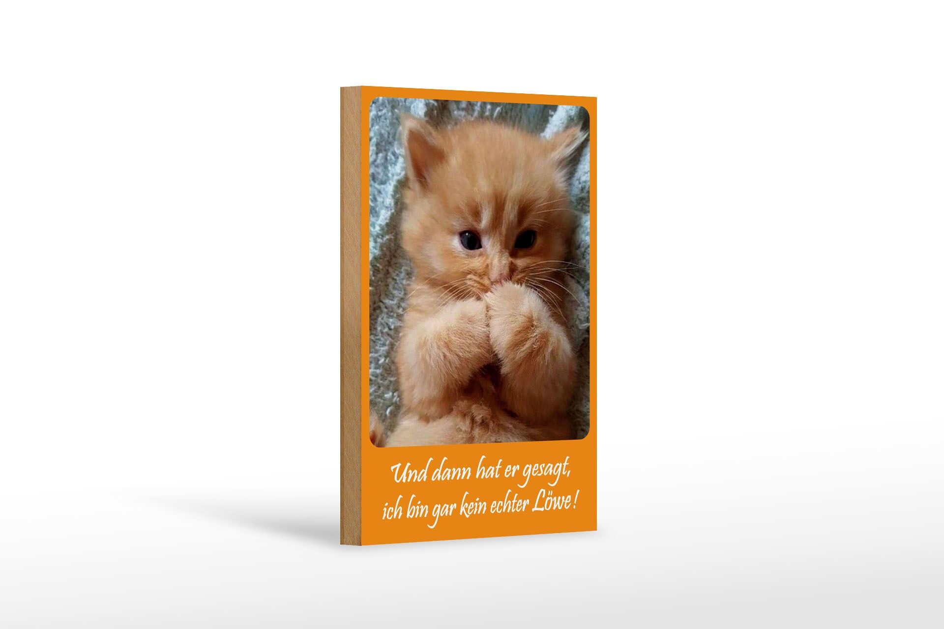 Holzschild Tiere 12x18 cm Katzen Baby ich bin gar kein Löwe Deko Schild