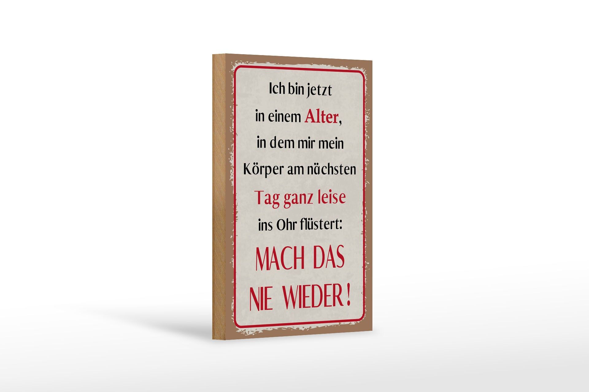 Holzschild Spruch 12x18 cm Körper Mach das nie wieder Deko Schild