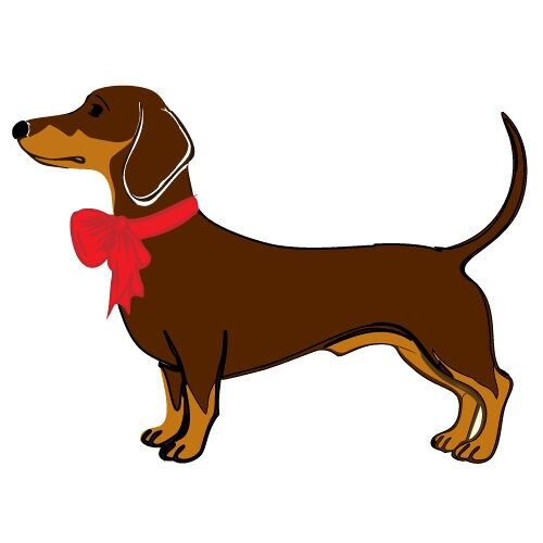 CCA207-BASSOTTO MARRONE