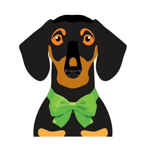 CCA2098-BASSOTTO NERO