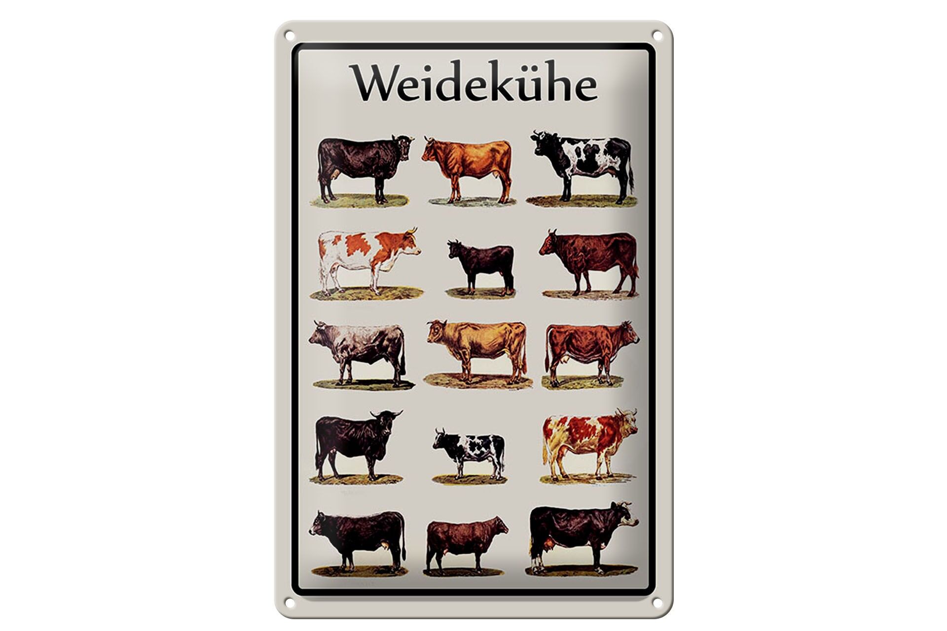 Blechschild Tiere 20x30 cm Weidekühe bildliche Aufstellung Deko Schild