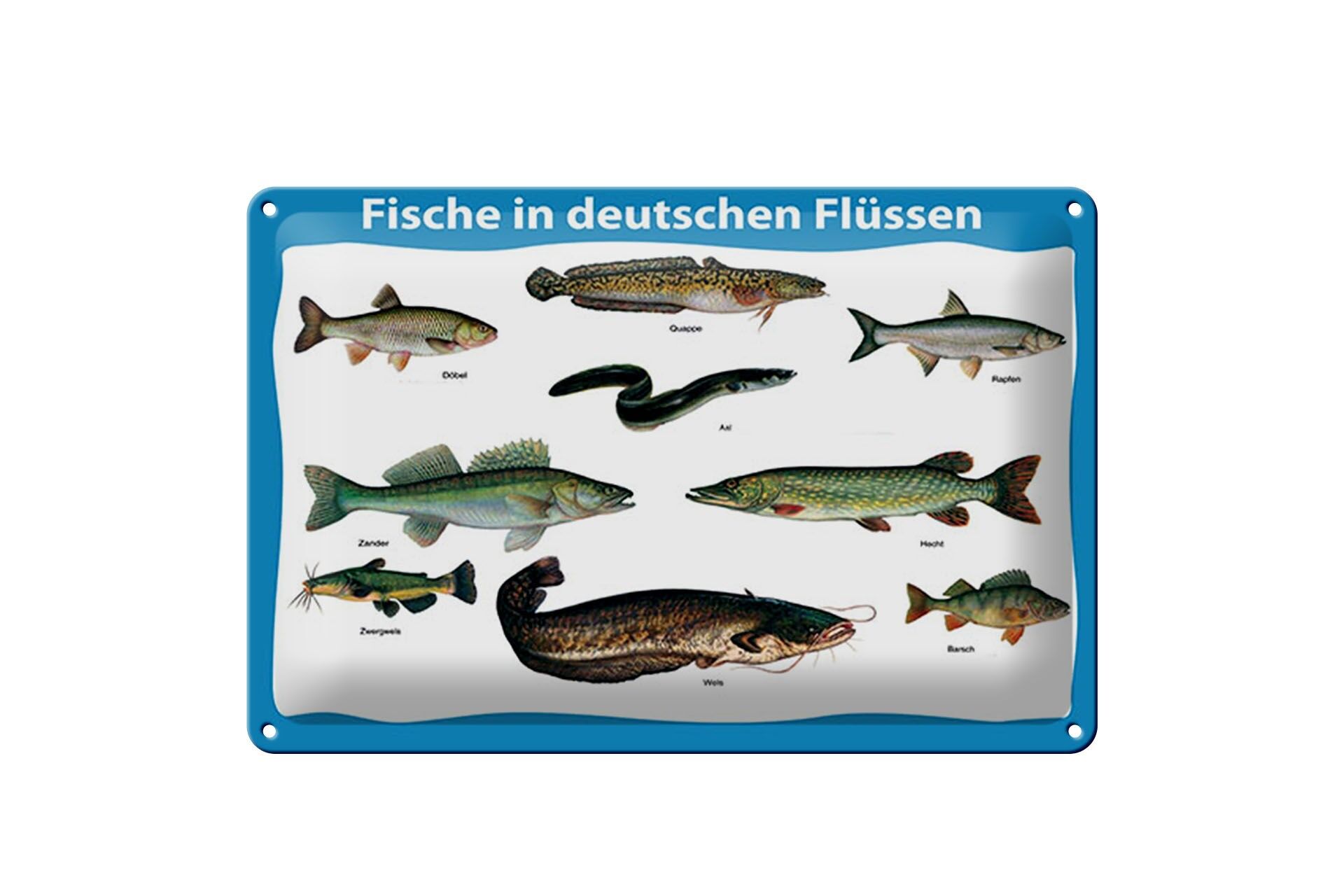 Blechschild Tiere 20x30 cm Fische in deutschen Flüssen verschiedene Fischarten