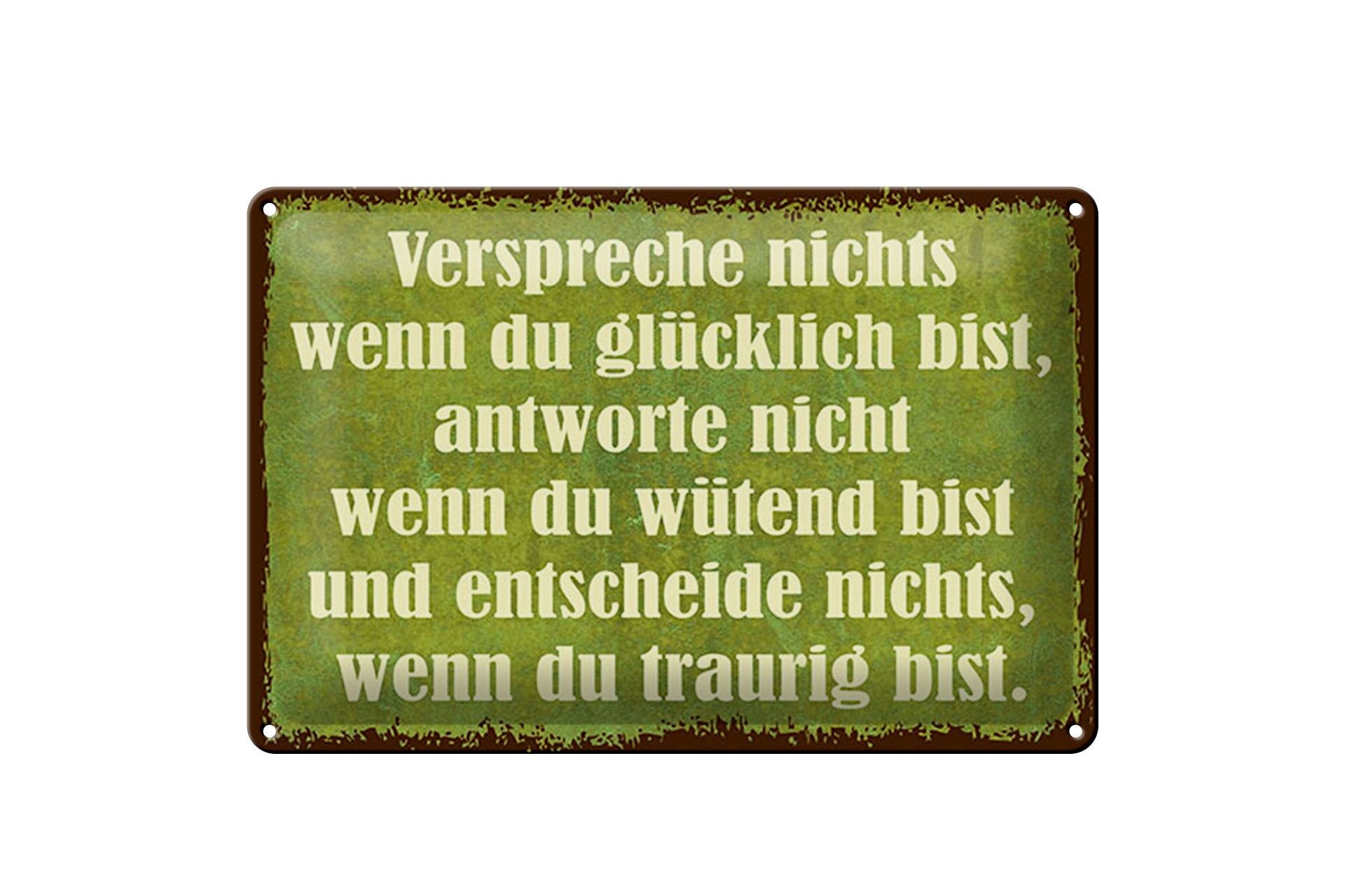 Blechschild Spruch 20x30 cm verspreche nichts wenn du glücklich bist Schild