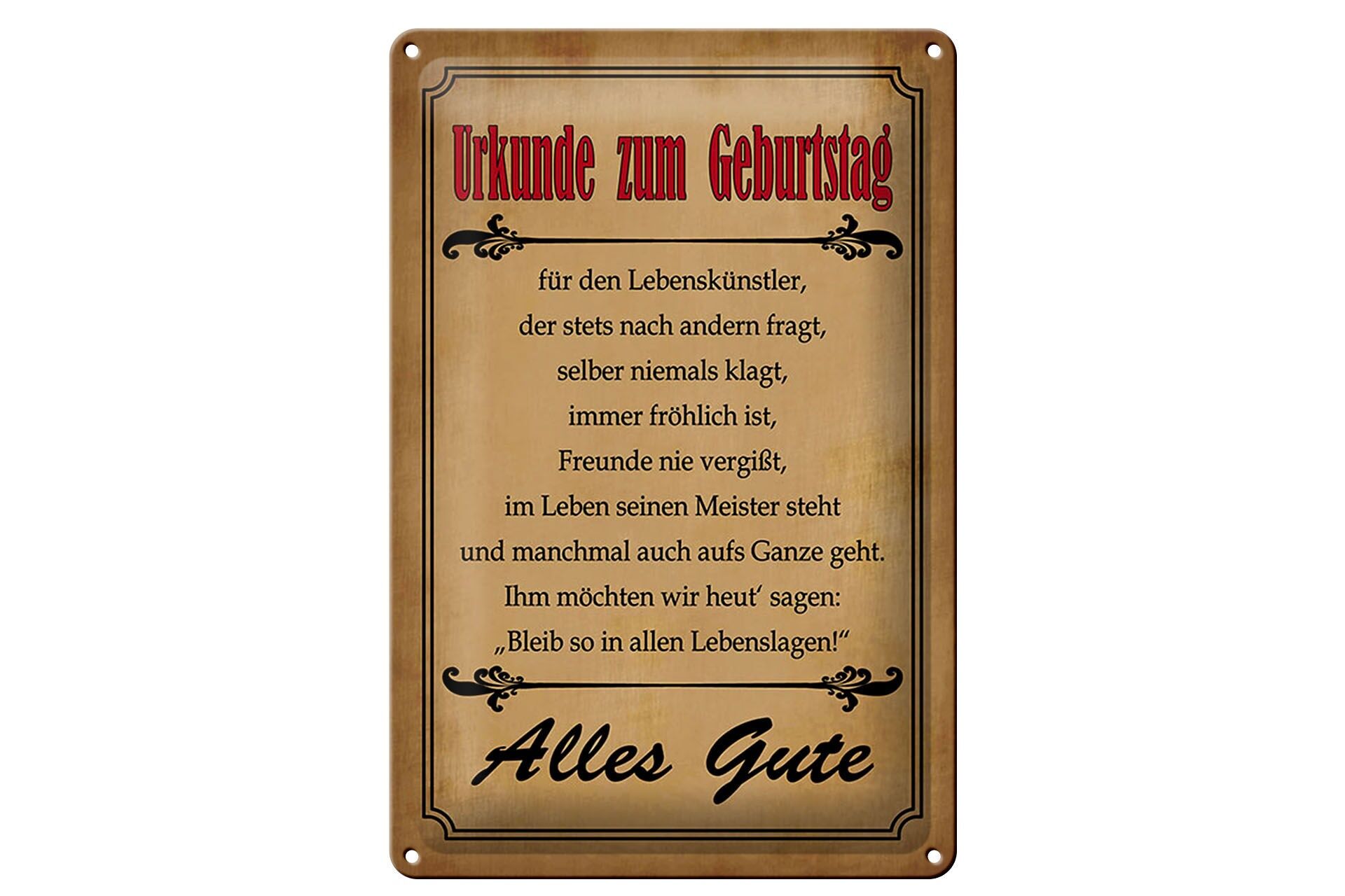 Blechschild Spruch 20x30 cm Urkunde zum Geburtstag Deko Schild