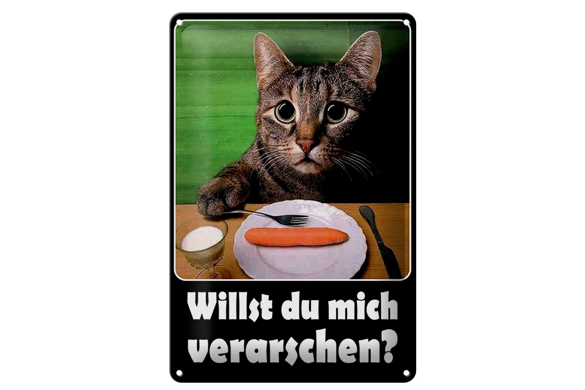 Blechschild Tiere 20x30 cm Katze willst du mich verarschen Karotte Deko Schild