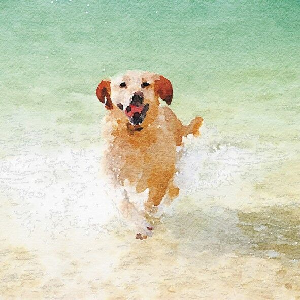 Gracie 10cm mini card