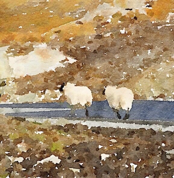 Schaf 10cm Minikarte