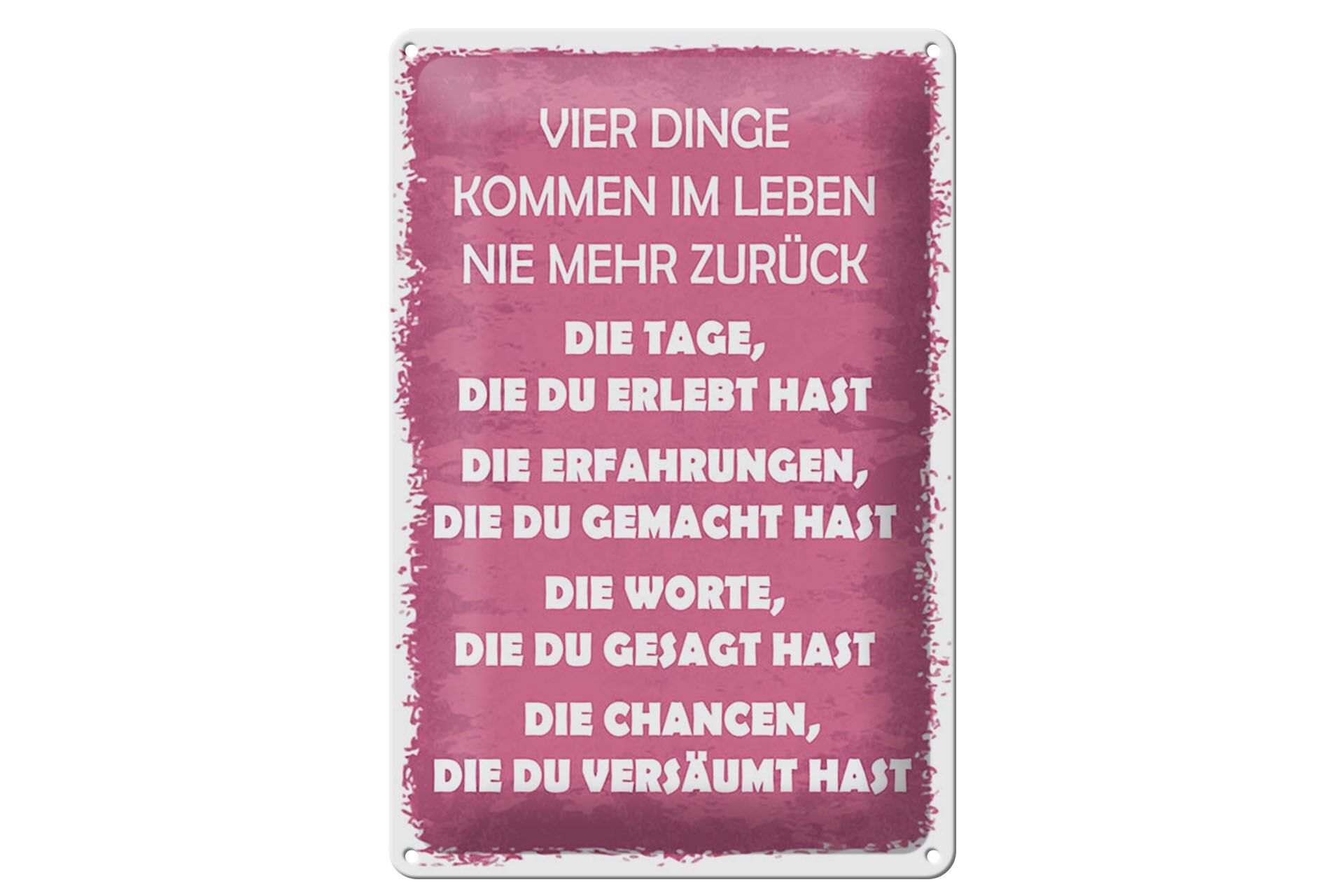 Blechschild Spruch 20x30 cm Vier dinge kommen im Leben nie mehr zurück Schild