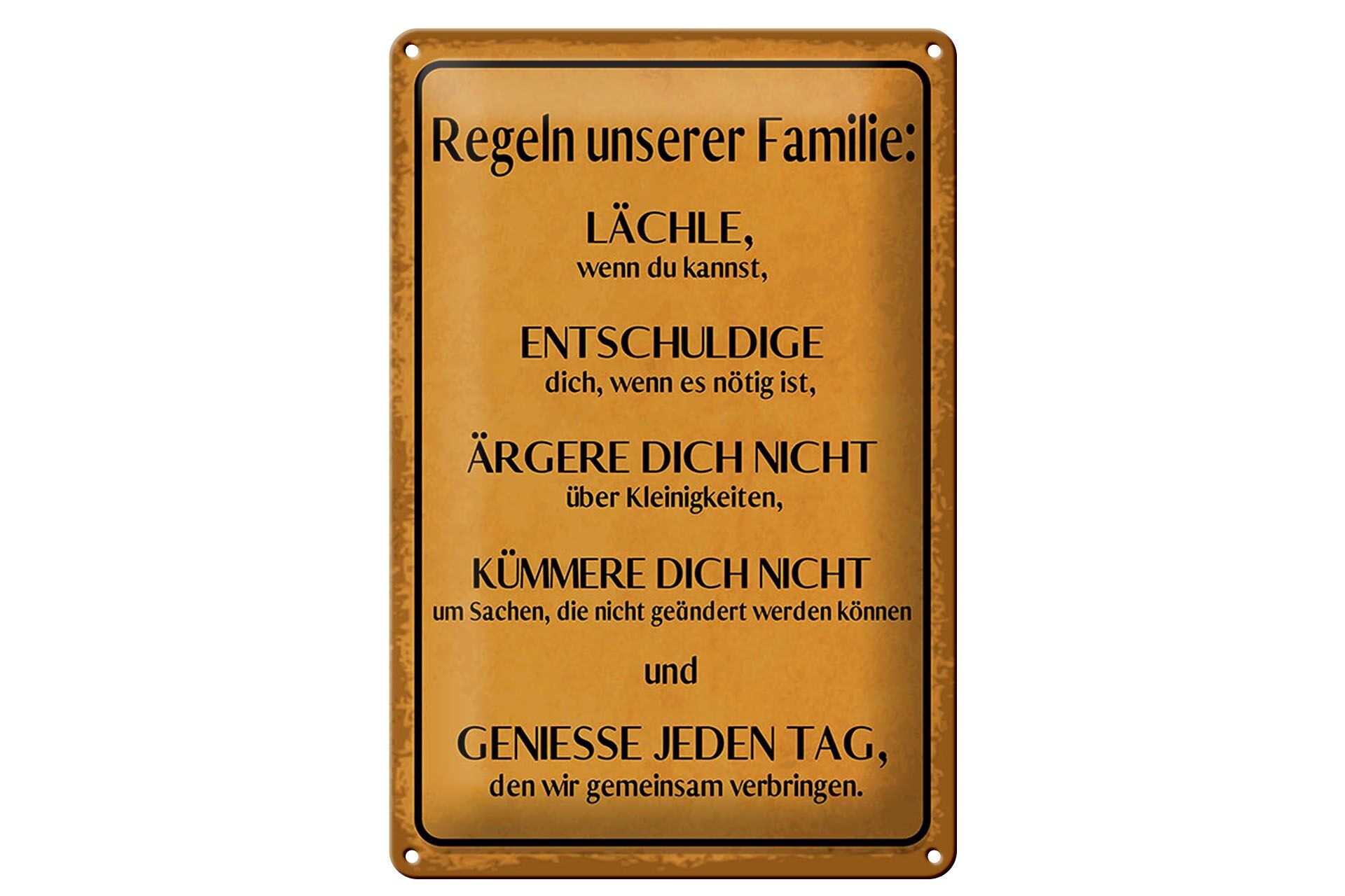 Blechschild Spruch 20x30 cm Regeln unserer Familie Deko Schild