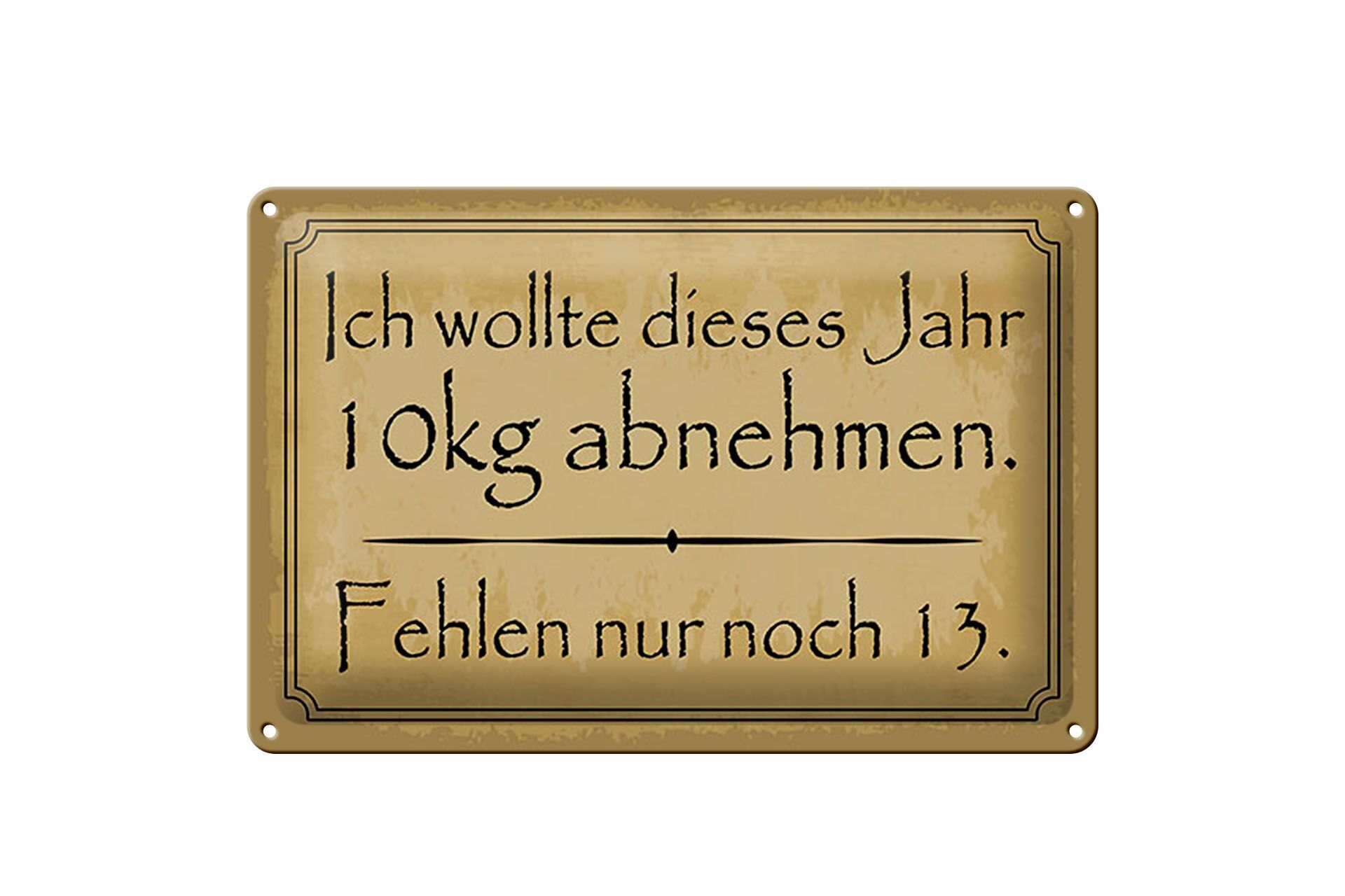 Blechschild Spruch 20x30 cm 10 kg abnehmen fehlen nur noch 13 Deko Schild