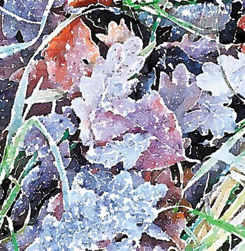 Winter leaves 10cm mini card
