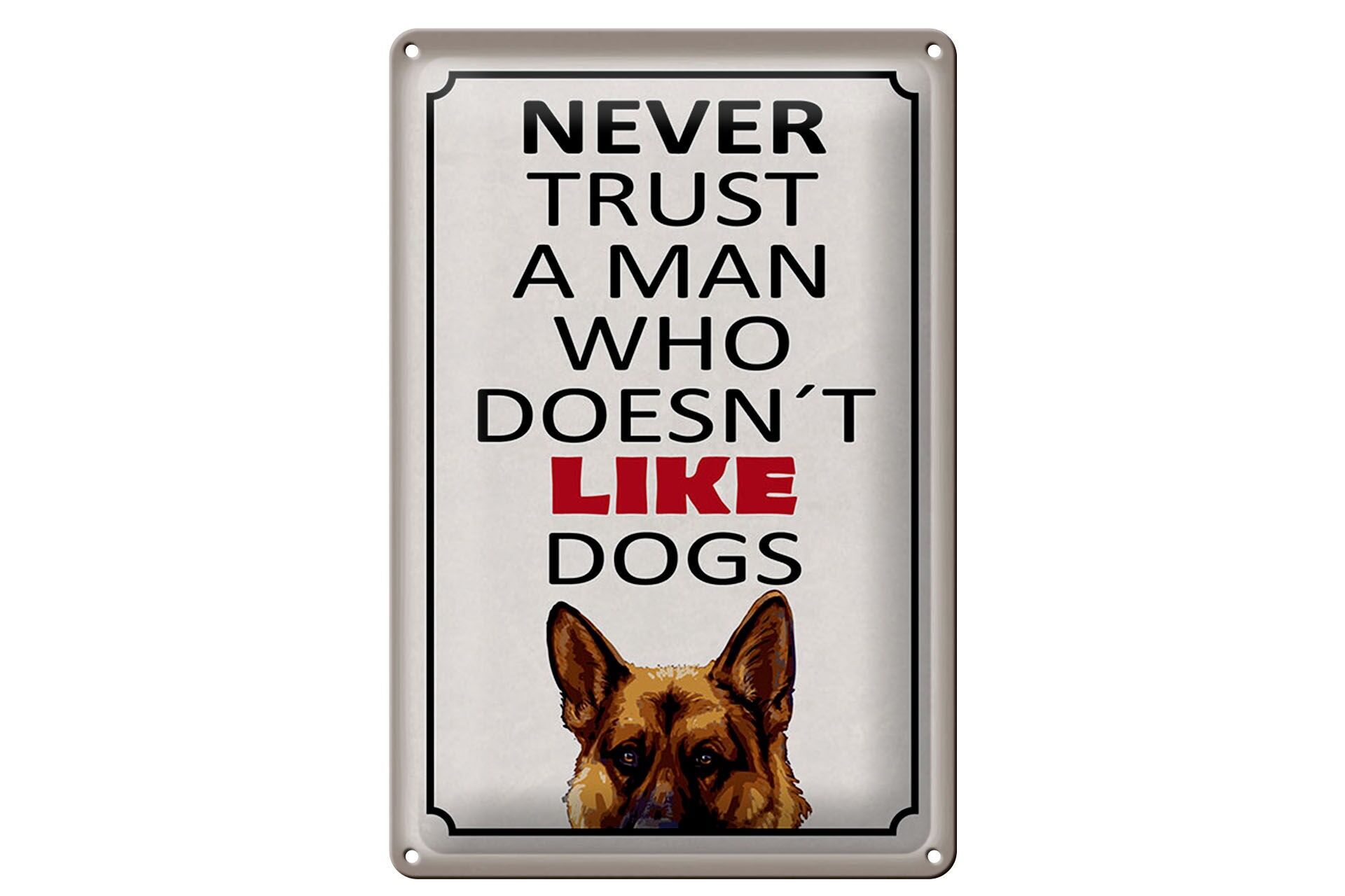 Blechschild Spruch 20x30 cm Never trust a man who dosent like dogs Deko Schild