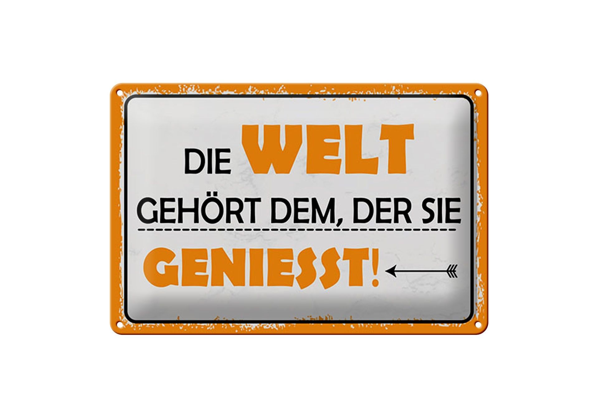 Blechschild Spruch 20x30 cm Die Welt gehört dem, der sie genießt Deko Schild