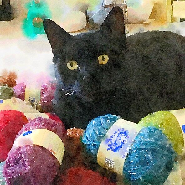 Mini card gatto lanoso da 10 cm