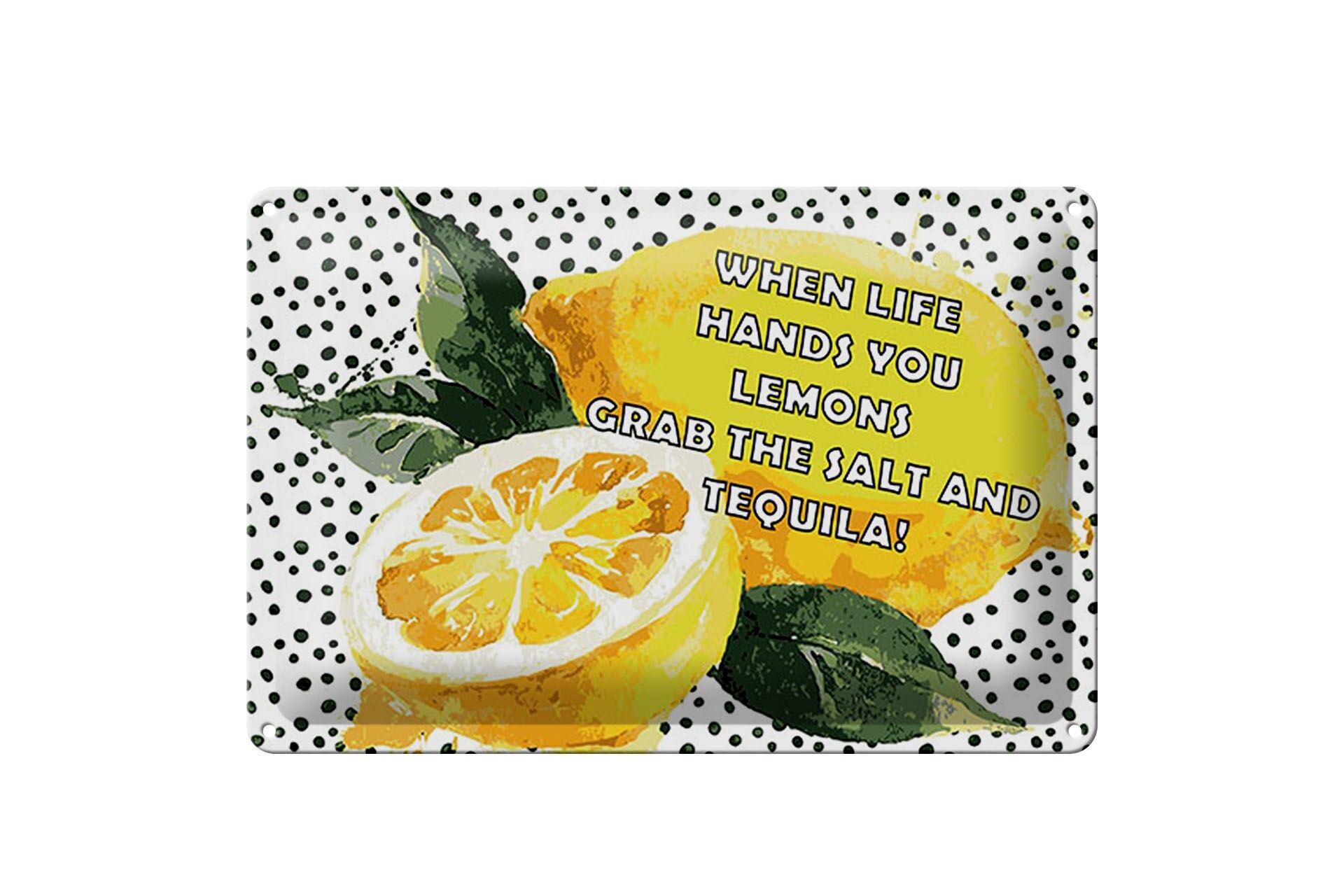 Blechschild Spruch 20x30 cm When life hands you Lemons grab the Salt and Tequila