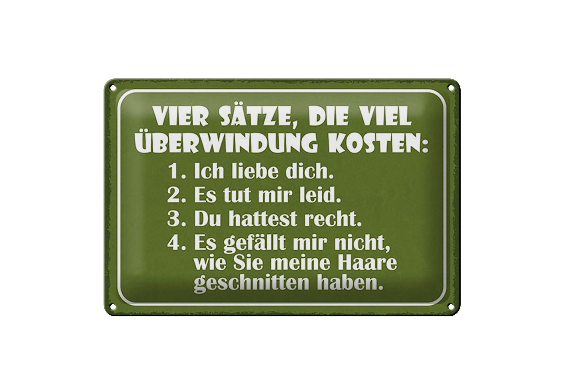 Blechschild Spruch 20x30 cm Es gefällt mir nicht, wie Sie meine Haare Deko