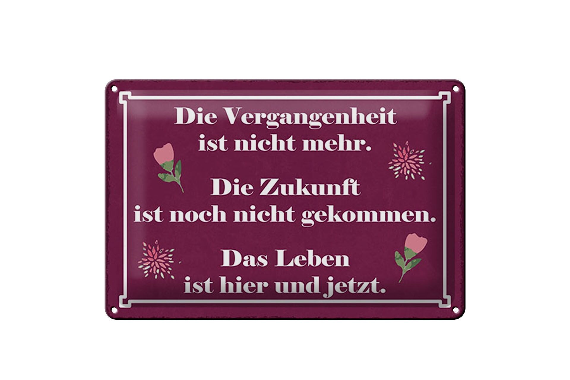 Blechschild Spruch 20x30 cm Die Zukunft ist noch nicht gekommen Deko Schild