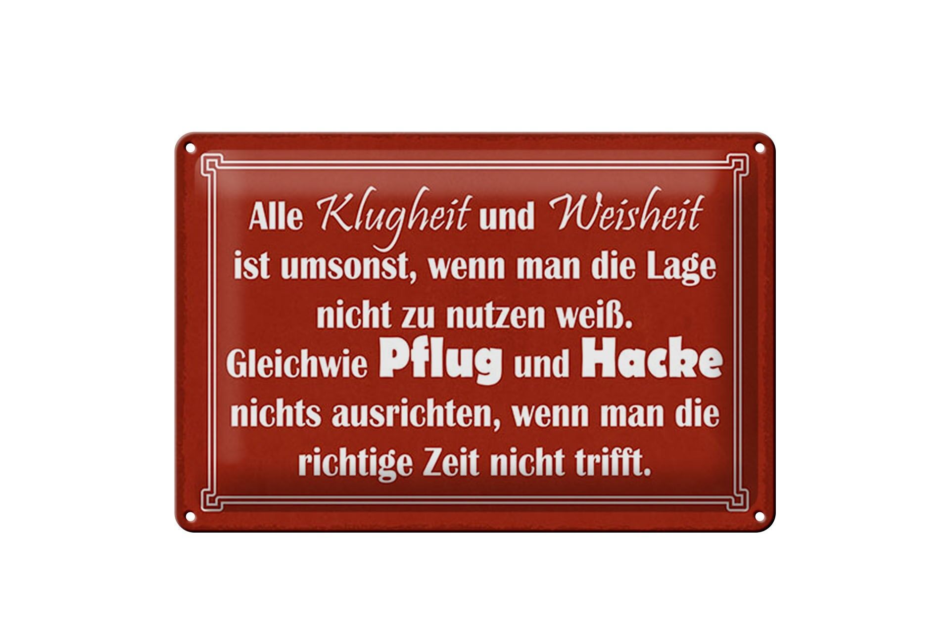 Blechschild Spruch 20x30 cm Klugheit und Weisheit ist umsonst, wenn man Schild