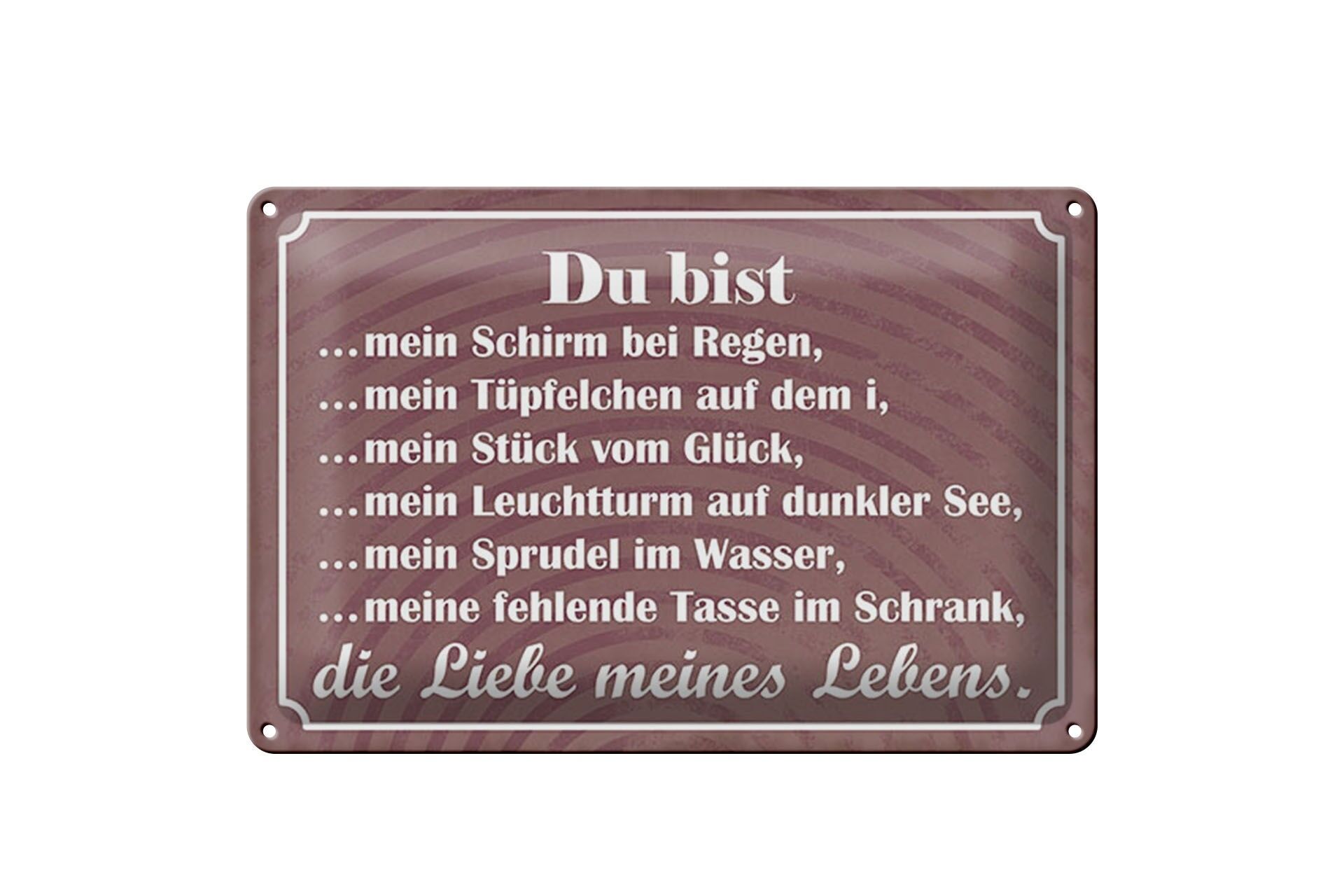 Cartello in metallo con scritta 20x30 cm: Sei l'amore della mia vita, cartello decorativo