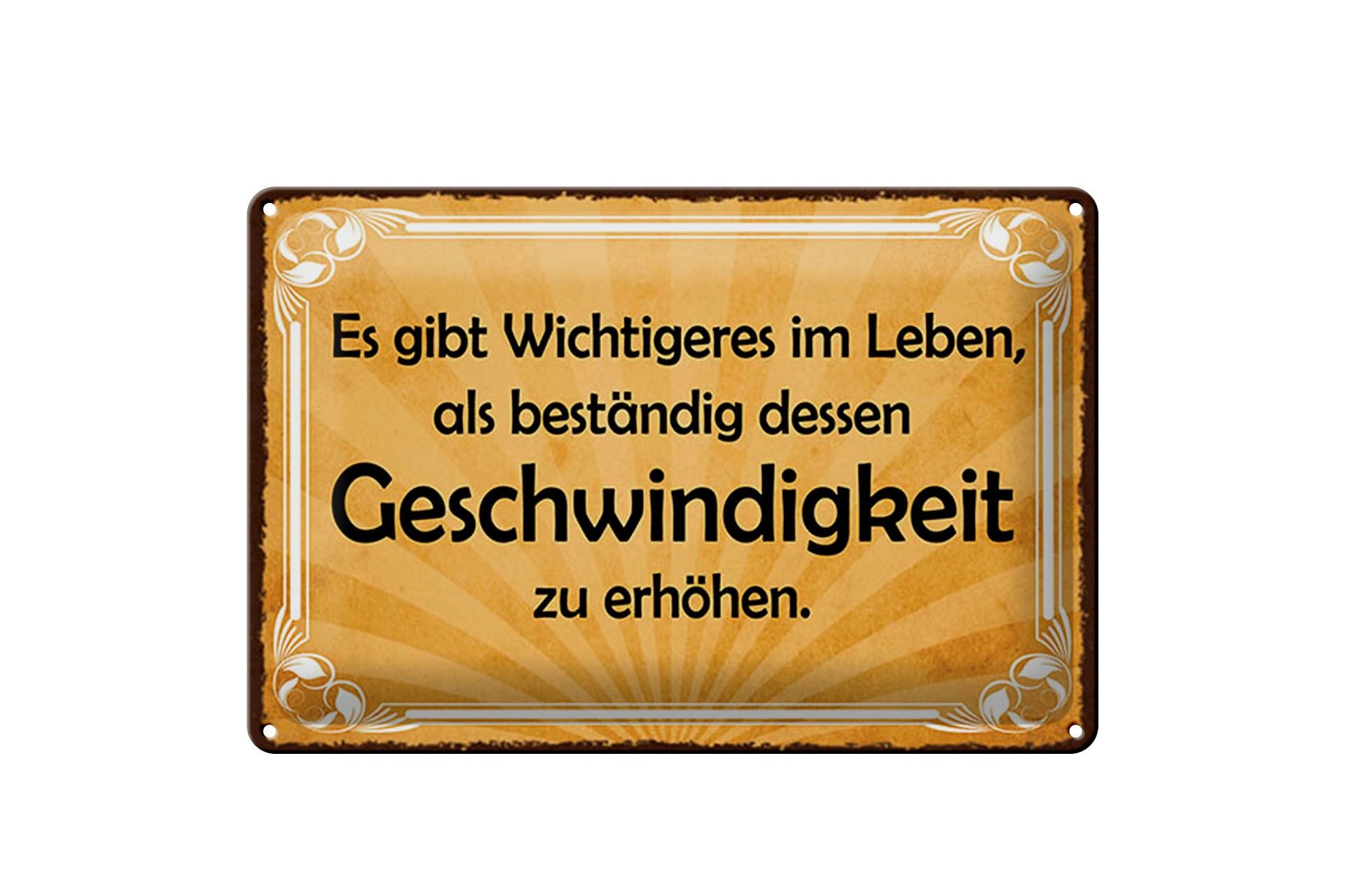 Blechschild Spruch 20x30 cm Wichtigeres im Leben, als Geschwindigkeit zu erhöhen