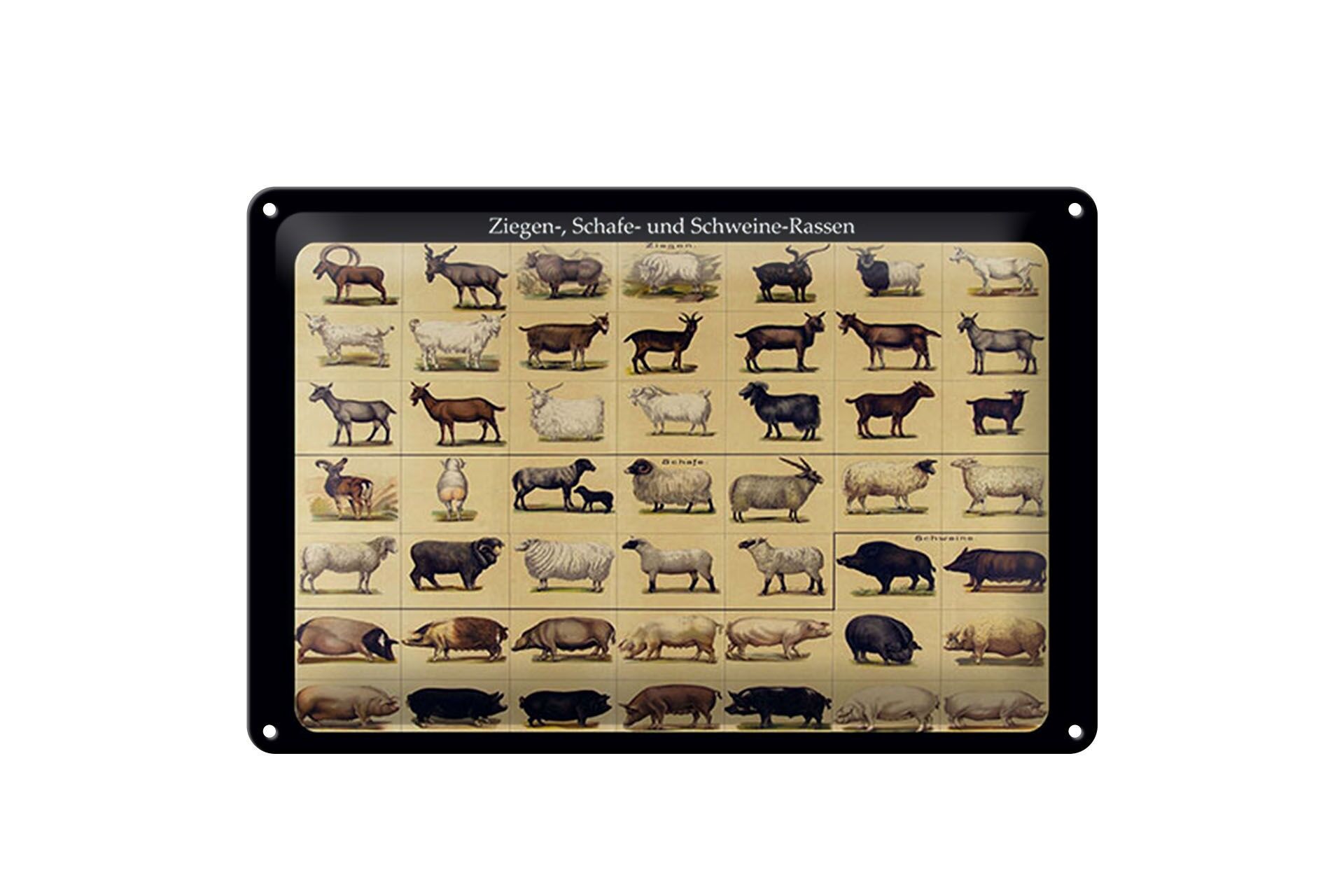 Blechschild Tiere 20x30 cm Ziegen Schafe und Schweinerassen Deko Schild