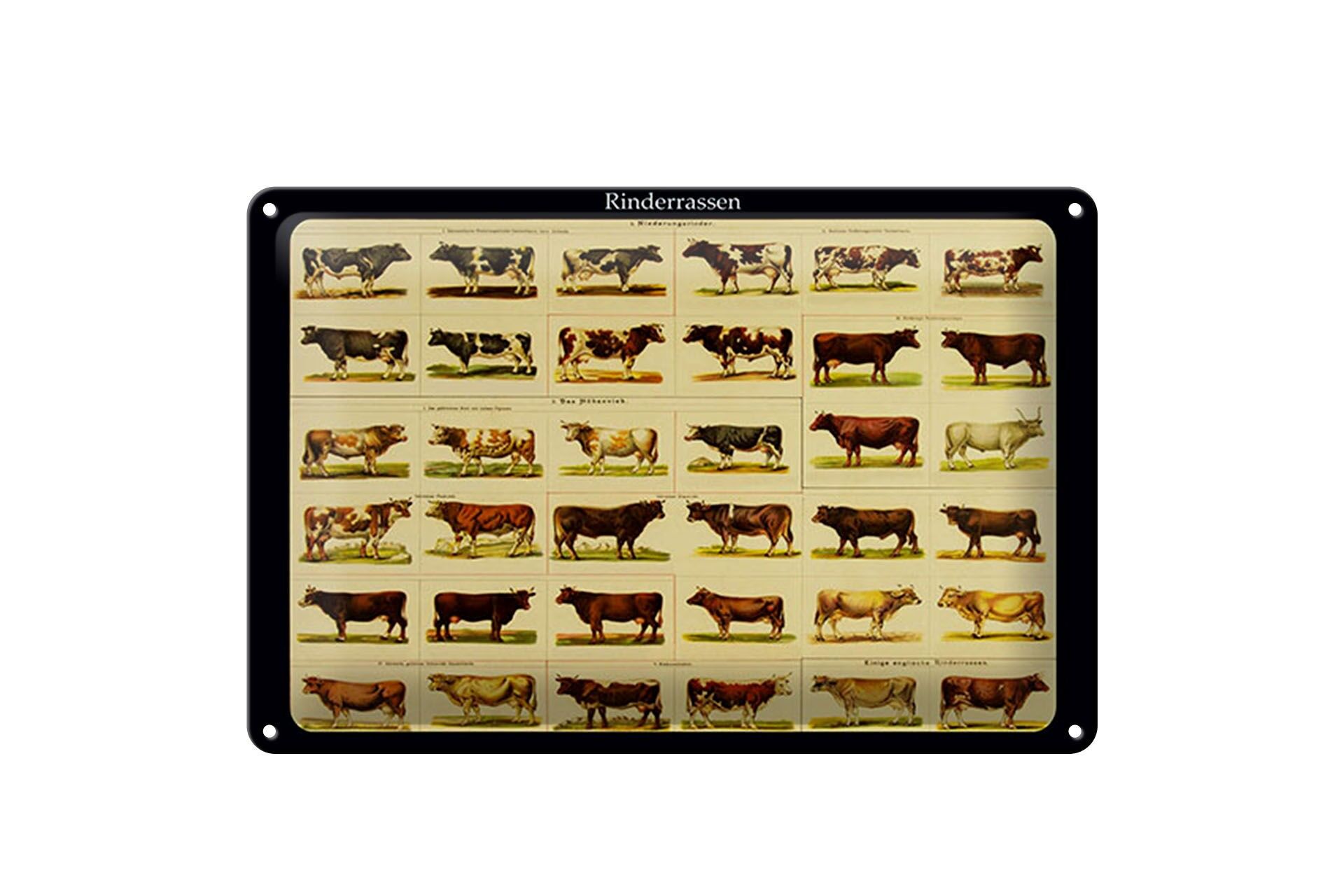 Blechschild Rind 20x30 cm Rinderrassen Abbildungen Deko Schild