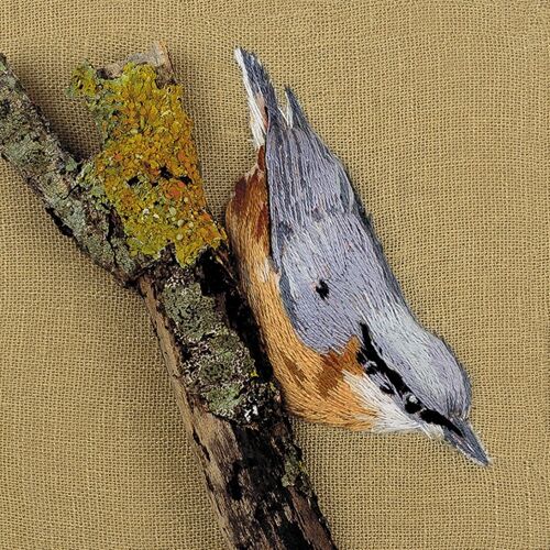 Nuthatch on tree trunk 10cm mini card