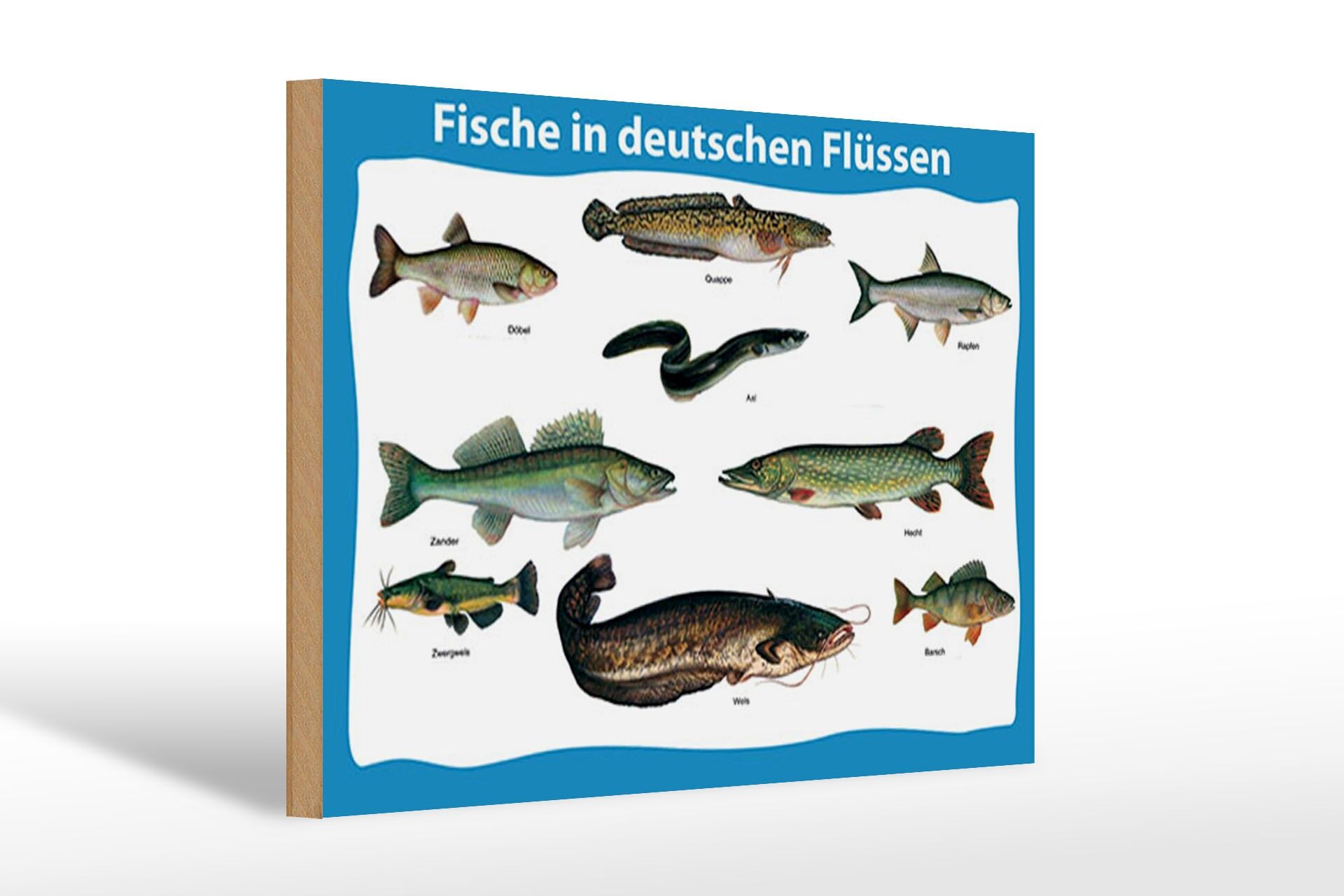 Holzschild Tiere 20x30 cm Fische in deutschen Flüssen verschiedene Fischarten