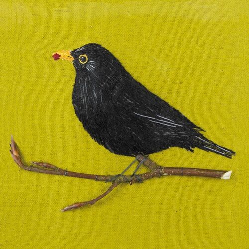 Blackbird 10cm mini card