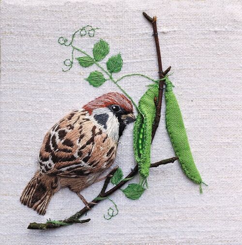 Sparrow with peapods 10cm mini card