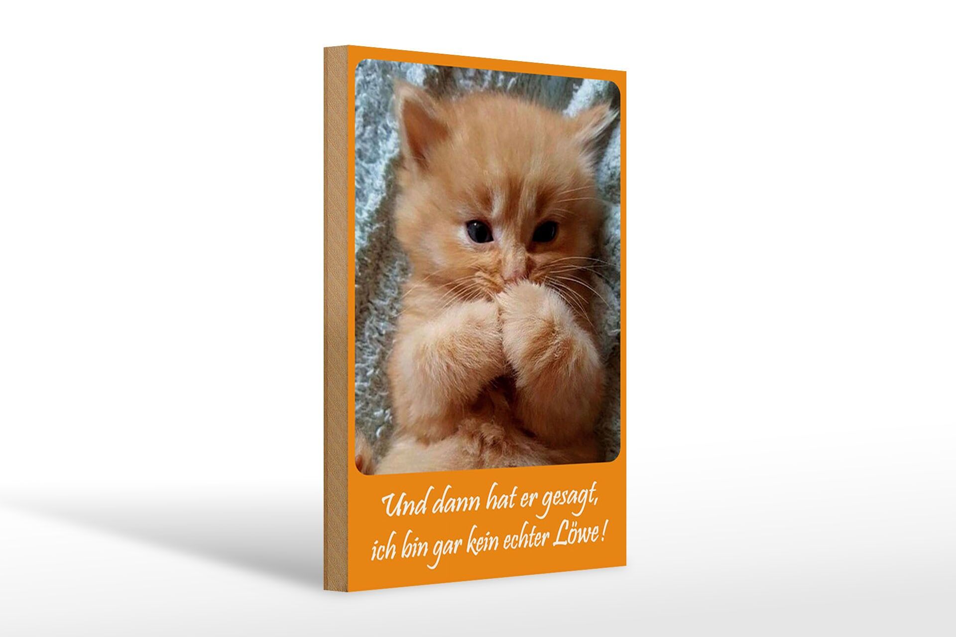 Holzschild Tiere 20x30 cm Katzen Baby ich bin gar kein Löwe Deko Schild