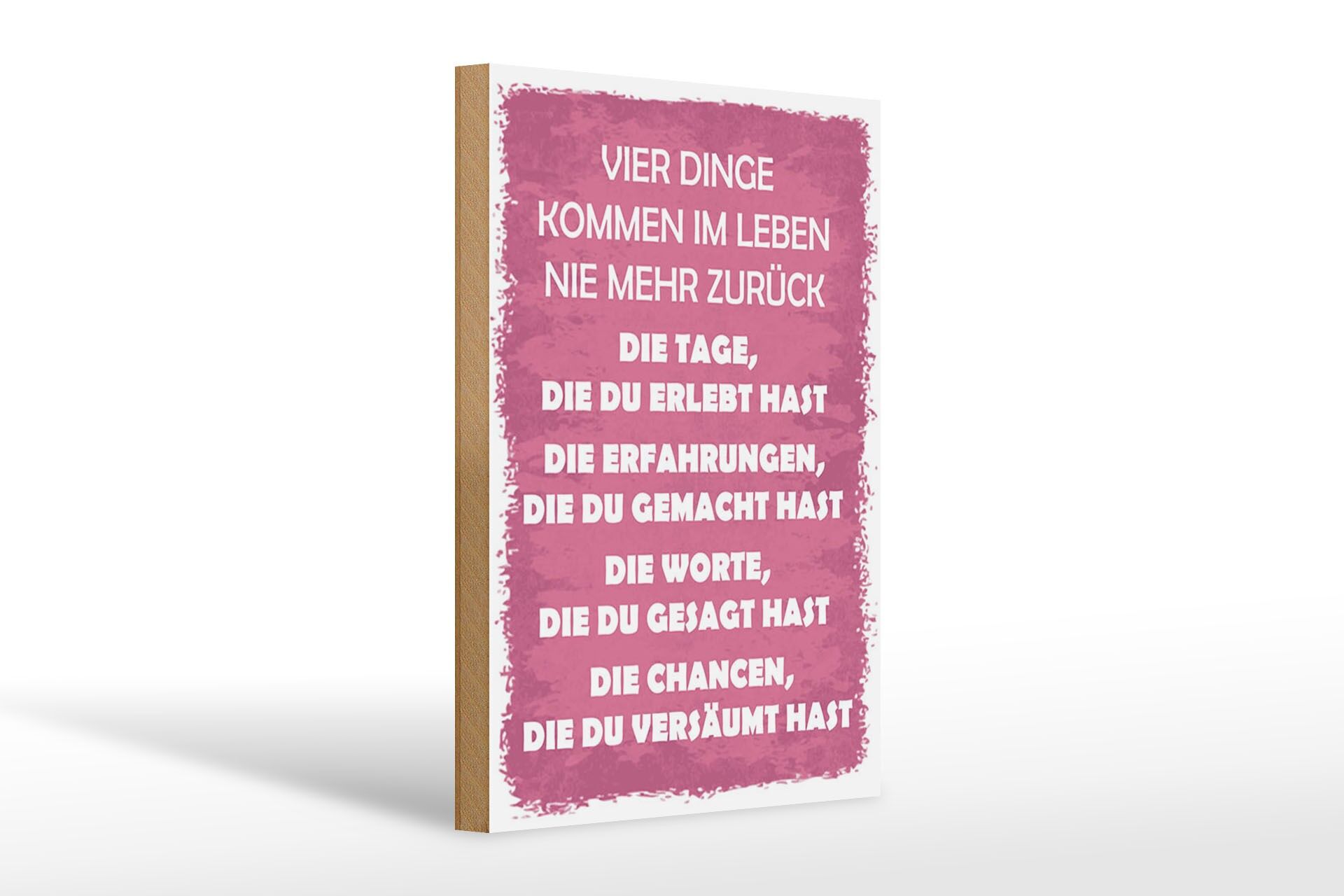 Holzschild Spruch 20x30 cm Vier dinge kommen im Leben nie mehr zurück Schild