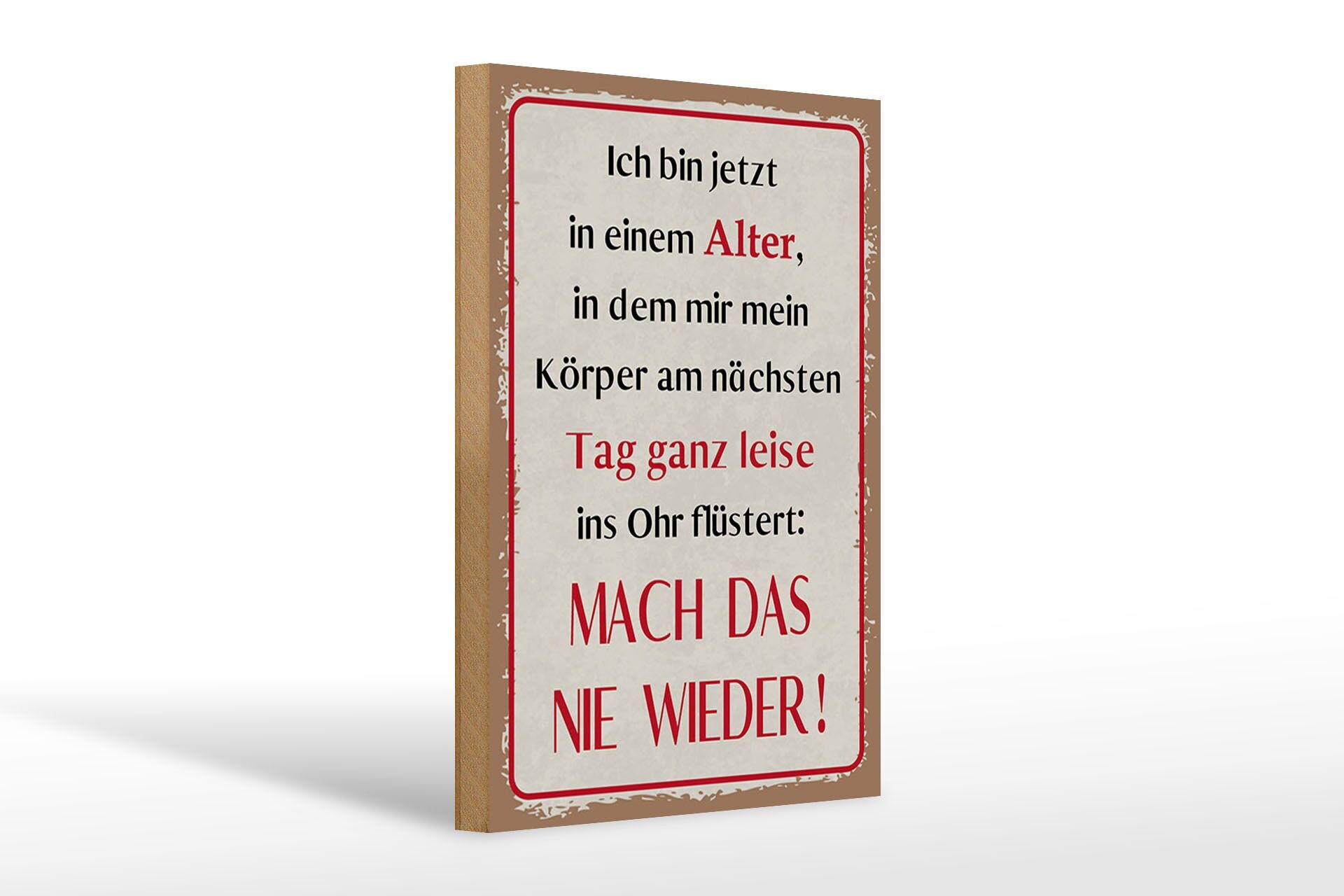 Holzschild Spruch 20x30 cm Körper Mach das nie wieder Deko Schild