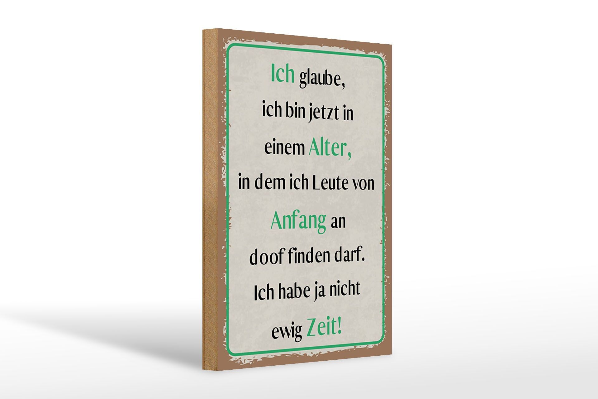 Holzschild Spruch 20x30 cm Leute von Anfang an doof finden Deko Schild