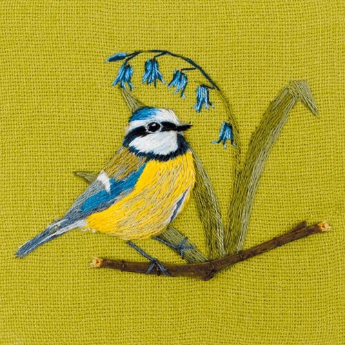 Blue tit with bluebell 10cm mini card