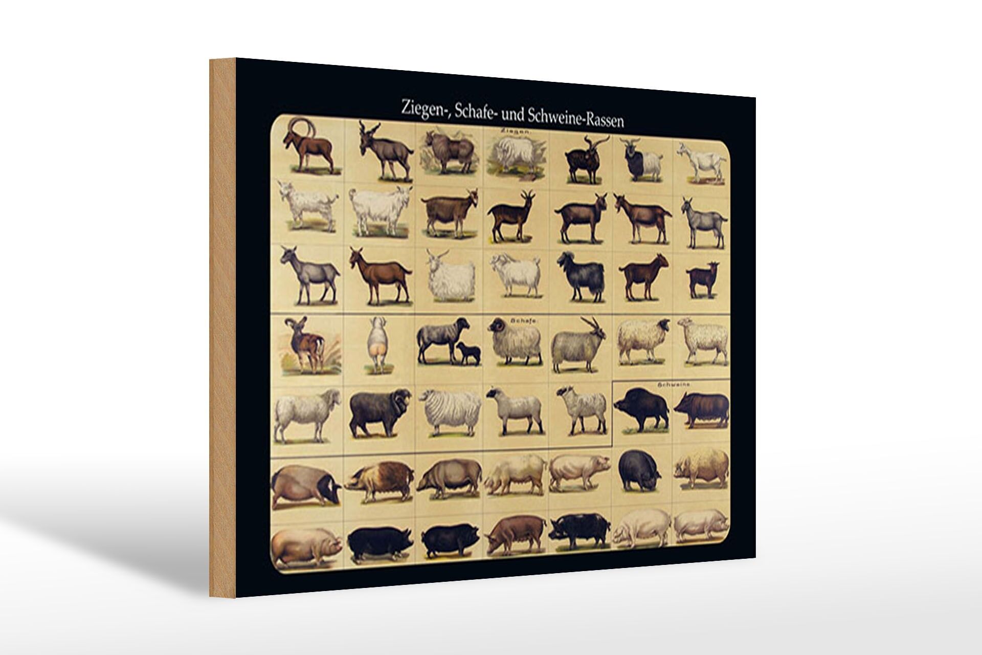 Holzschild Tiere 20x30 cm Ziegen Schafe und Schweinerassen Deko Schild