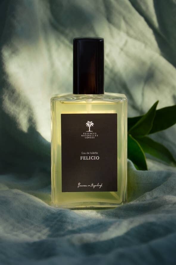 Eau de Toilette - FELICIO - 100ml