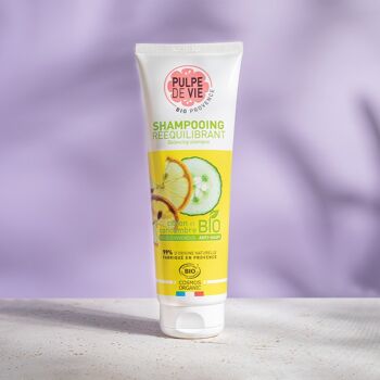 Shampoing rééquilibrant, usage cuir chevelu gras, à base de Citron & Concombre 250 ml, cosmétique antigaspi bio, Upcycling, SORBET GIVRE, formule naturelle 1