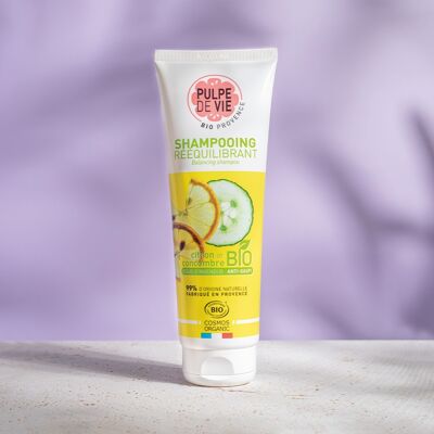 Rebalancing shampoo, use on oily scalp, based on Lemon & Cucumber 250 ml, organic anti-waste cosmetics, Upcycling, GIVRE SORBET, natural formula