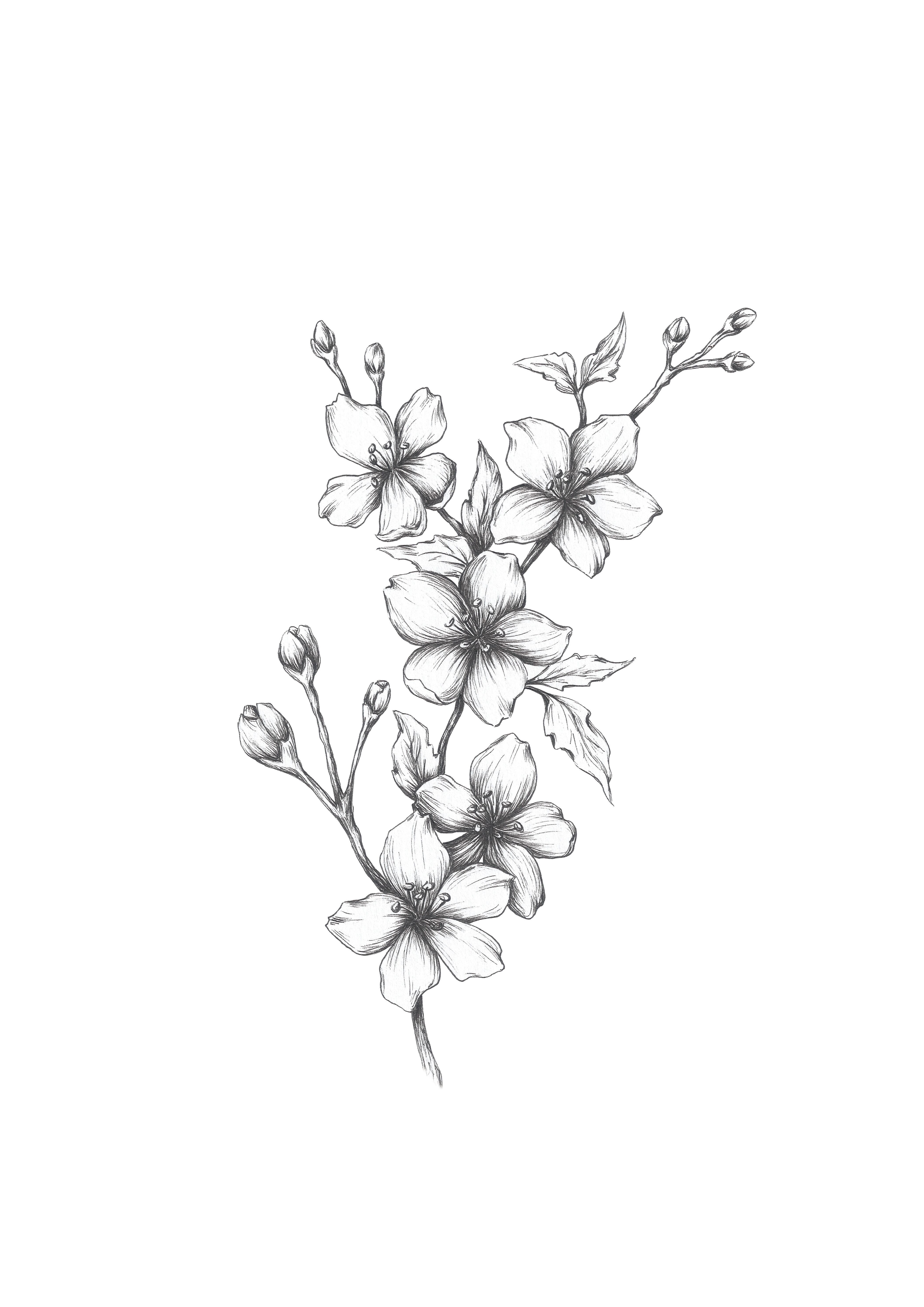 Temporary tattoo: Cherry blossom