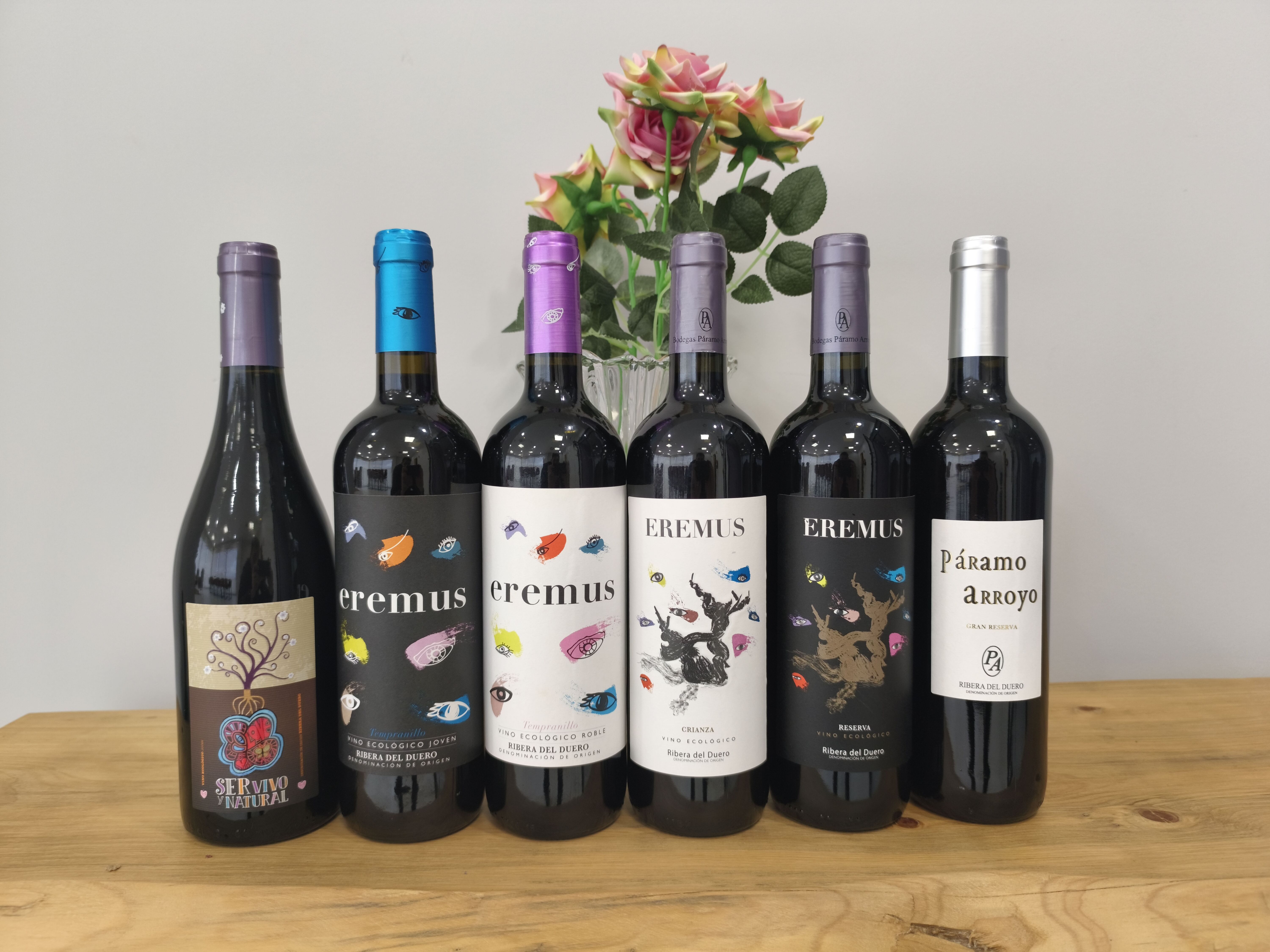 Starterpaket Páramo Arroyo 6 x 75cl Vinos Ecológicos Ribera del Duero