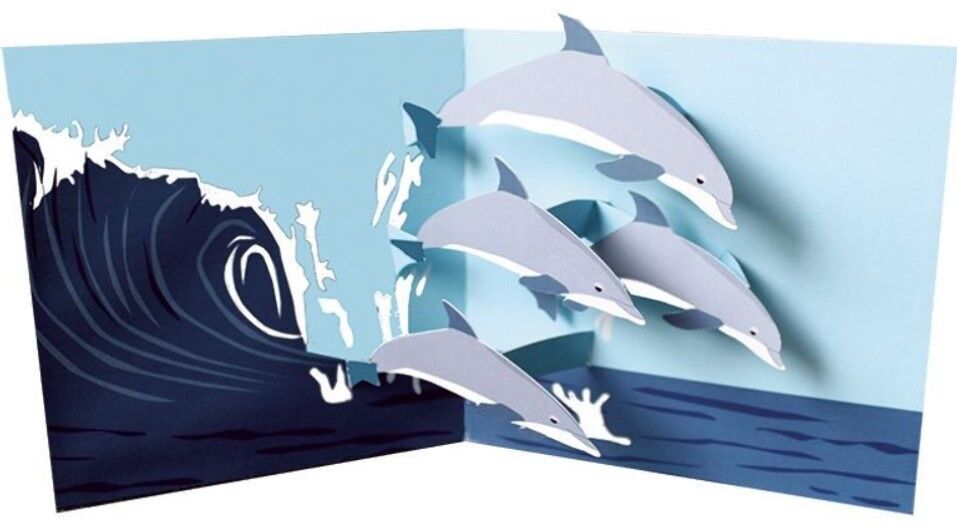 CARTE DOPPIE TANGO TTT 1459