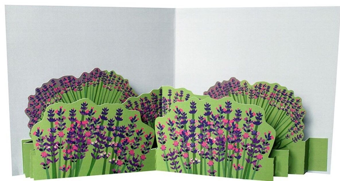 DOPPELTANGO-KARTEN TTT 1558