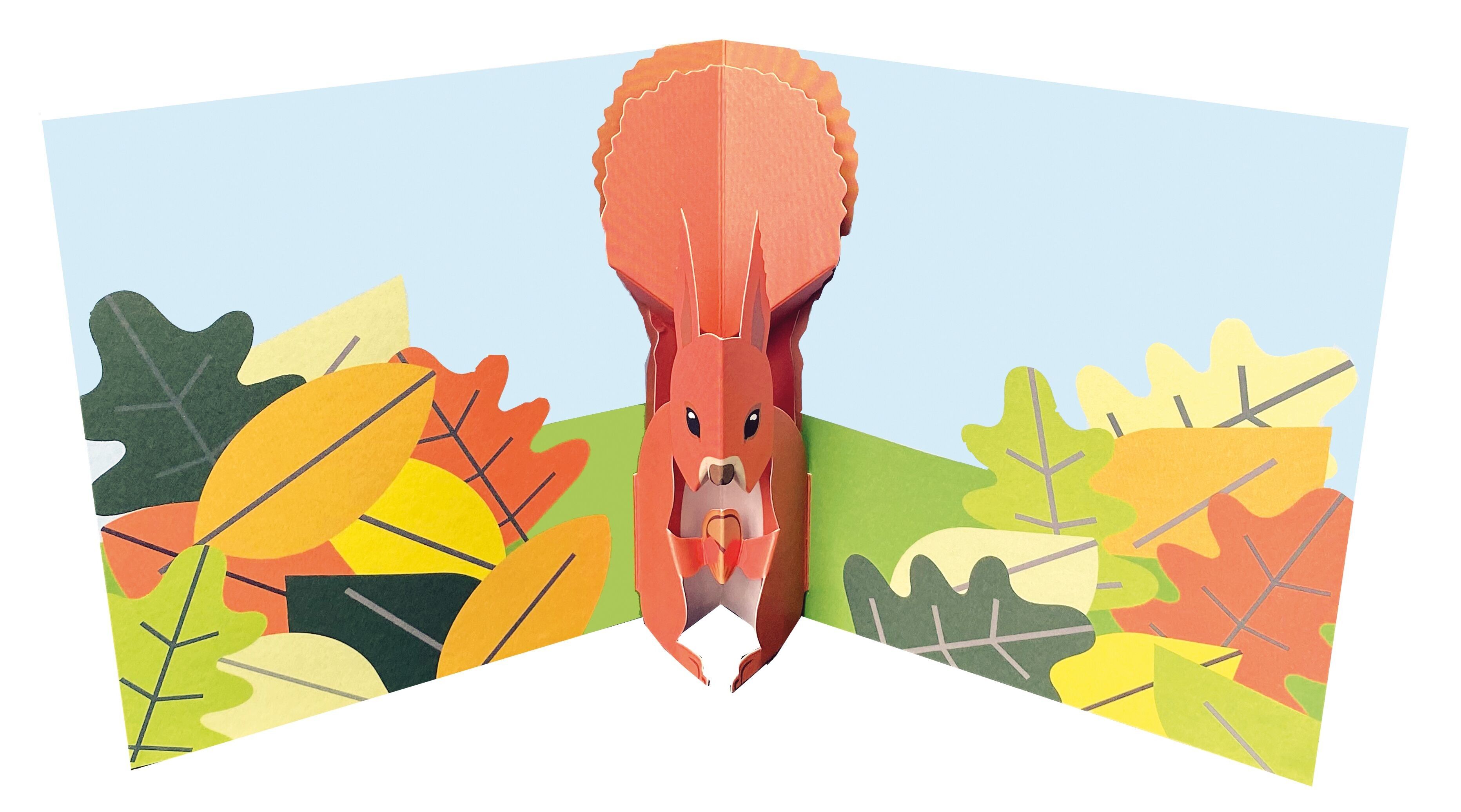 CARTE DOPPIE TANGO TTT 2050