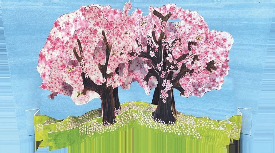 CARTE DOPPIE TANGO TTT 2111