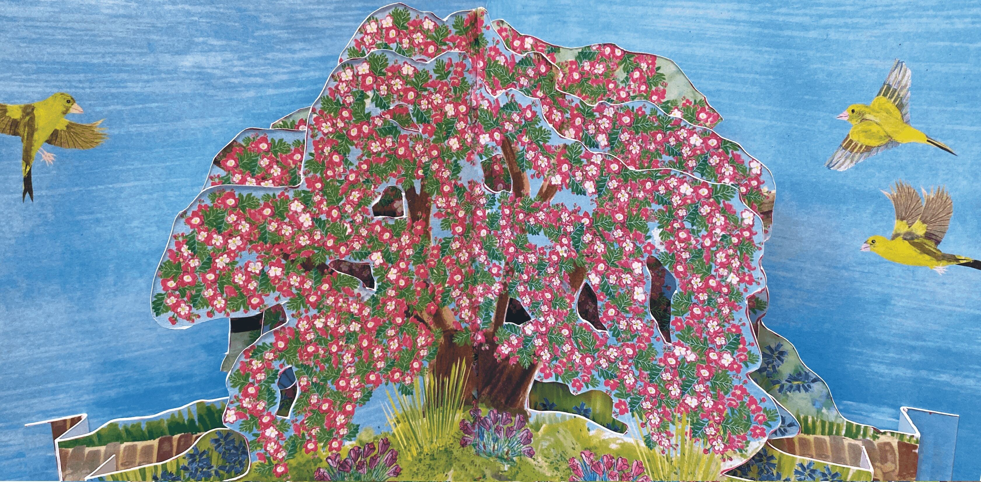 CARTE DOPPIE TANGO TTT 2128