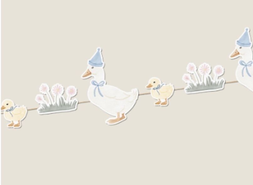 Birthday Duck Party Garland (kids party)