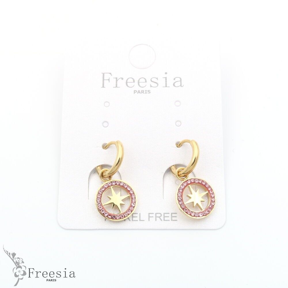 Boucles d'oreilles acier - 11313