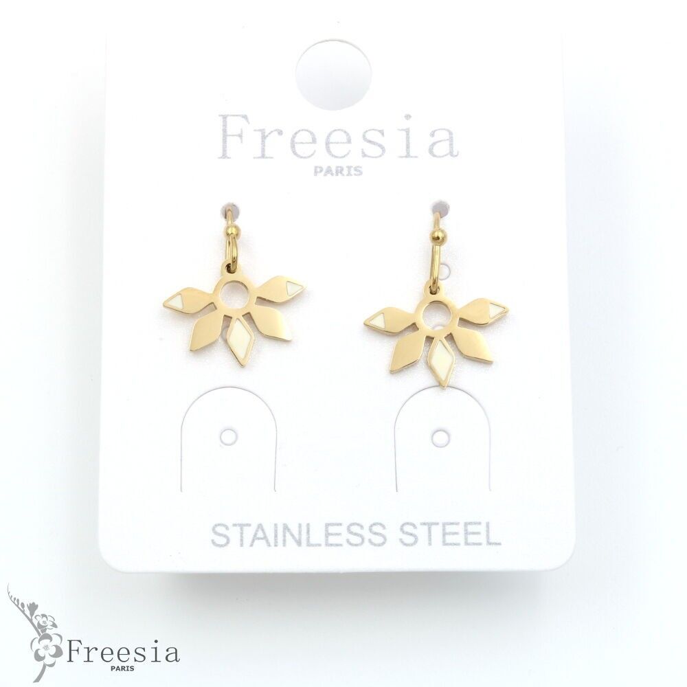 Boucles d'oreilles acier laqué - 11341